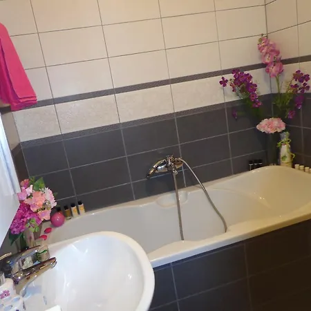 Diana Apartament